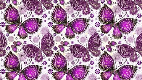 Обои узор, крылья, бабочки, pattern, wings, butterfly разрешение 1920x1280 Загрузить