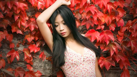 Обои листья, девушка, настроение, фон, взгляд, азиатка, длинные волосы, leaves, girl, mood, background, look, asian, long hair разрешение 3870x2418 Загрузить