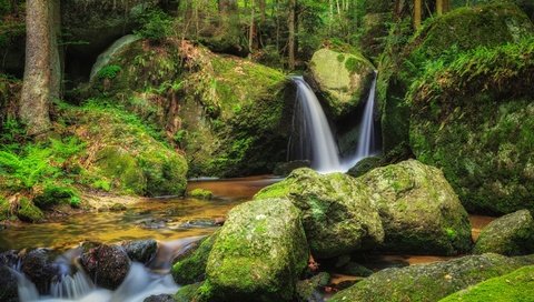 Обои вода, река, камни, лес, водопад, мох, water, river, stones, forest, waterfall, moss разрешение 3000x2000 Загрузить