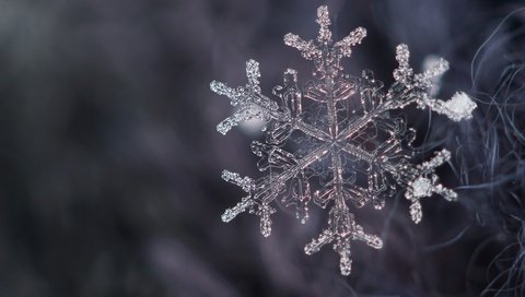 Обои снег, снежинка, кристалл, snow, snowflake, crystal разрешение 2400x1600 Загрузить
