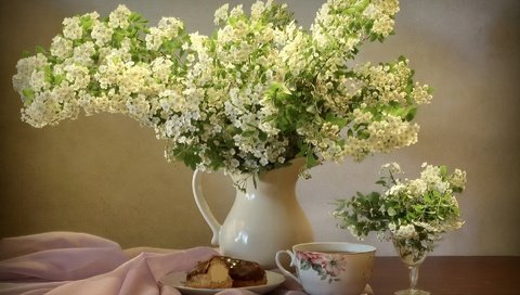 Обои букет, кувшин, пирожное, спирея, bouquet, pitcher, cake, spiraea разрешение 1920x1349 Загрузить