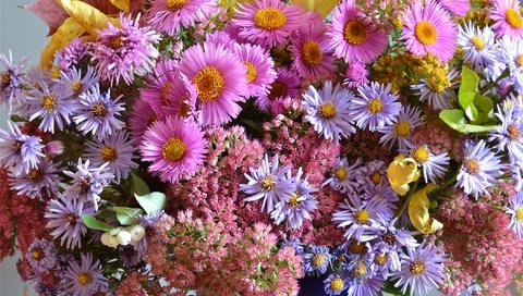 Обои осень, букет, астры, очиток, autumn, bouquet, asters, stonecrop разрешение 2100x1356 Загрузить