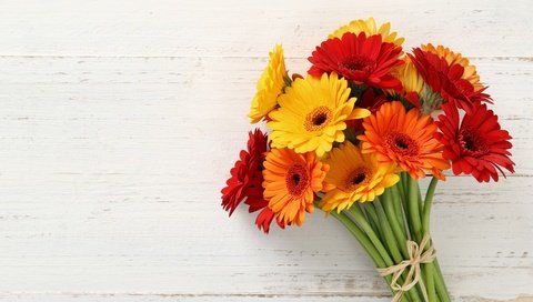 Обои красные, букет, желтые, оранжевые, герберы, букеты, gerberas, red, bouquet, yellow, orange, gerbera, bouquets разрешение 2880x1865 Загрузить