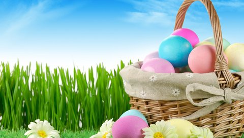 Обои небо, цветы, трава, природа, пасха, яйца, праздник, the sky, flowers, grass, nature, easter, eggs, holiday разрешение 5436x3673 Загрузить