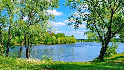 Обои небо, деревья, озеро, природа, лето, the sky, trees, lake, nature, summer разрешение 2400x1600 Загрузить