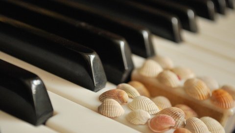 Обои ракушки, белые, пианино, клавиши, чёрные, shell, white, piano, keys, black разрешение 3872x2508 Загрузить