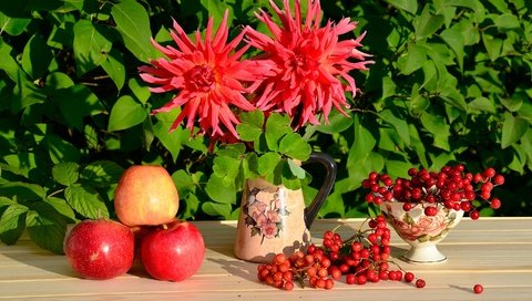 Обои красный, яблоко, натюрморт, калина, георгины, red, apple, still life, kalina, dahlias разрешение 2800x1855 Загрузить