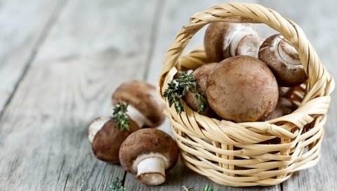 Обои грибы, корзинка, шампиньоны, портабелло, портобелло, mushrooms, basket, portabello, portobello разрешение 2700x1800 Загрузить