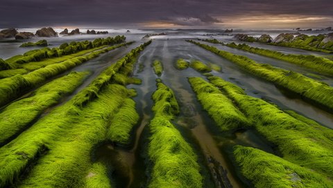 Обои скалы, камни, берег, море, водоросли, rocks, stones, shore, sea, algae разрешение 2048x1297 Загрузить