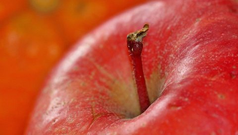 Обои макро, фрукты, витамины, яблоко, красное, macro, fruit, vitamins, apple, red разрешение 1920x1427 Загрузить