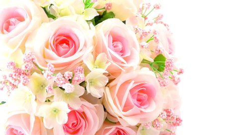 Обои цветы, розы, букет, розовые, flowers, roses, bouquet, pink разрешение 5648x4236 Загрузить