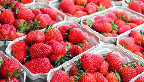 Обои рынок, клубника, красные, ягоды, сладкие, market, strawberry, red, berries, sweet разрешение 1920x1201 Загрузить