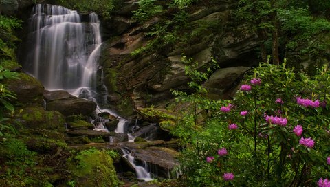 Обои скалы, водопад, куст, рододендроны, северная каролина, seven falls, этова, rocks, waterfall, bush, rhododendrons, north carolina, etowah разрешение 2048x1352 Загрузить