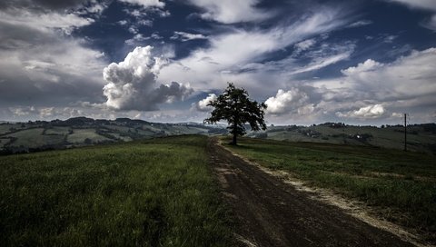 Обои дорога, дерево, поле, road, tree, field разрешение 2048x1367 Загрузить