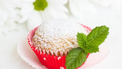 Обои мята, выпечка, сахарная пудра, кекс, mint, cakes, powdered sugar, cupcake разрешение 4838x3456 Загрузить