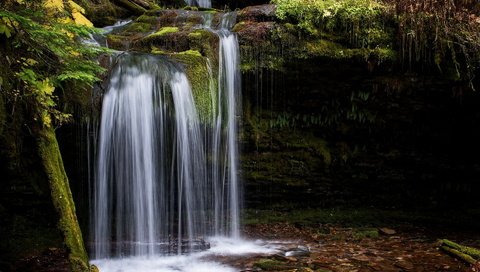 Обои лес, ручей, водопад, мох, forest, stream, waterfall, moss разрешение 1920x1433 Загрузить