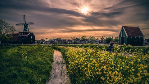 Обои небо, цветы, мельница, дома, through the yellow furrow, the sky, flowers, mill, home разрешение 2000x1335 Загрузить