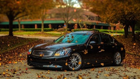 Обои листья, осень, черная, тюнинг, блака, инфинити, g35s, leaves, autumn, black, tuning, infiniti разрешение 2048x1270 Загрузить