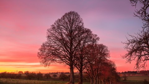 Обои деревья, природа, закат, trees, nature, sunset разрешение 2047x1269 Загрузить