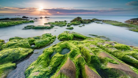 Обои камни, берег, закат, море, водоросли, stones, shore, sunset, sea, algae разрешение 2047x1315 Загрузить