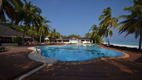 Обои пальмы, бассейн, океан, курорт, palm trees, pool, the ocean, resort разрешение 4928x3264 Загрузить