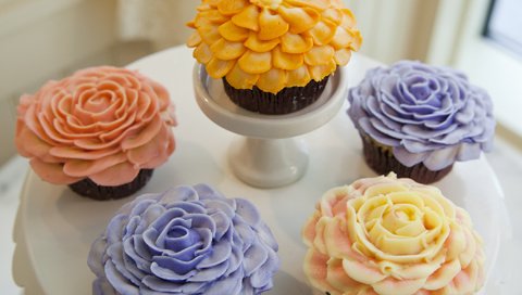 Обои розы, сладкое, тарелка, украшение, выпечка, кексы, roses, sweet, plate, decoration, cakes, cupcakes разрешение 2100x1680 Загрузить