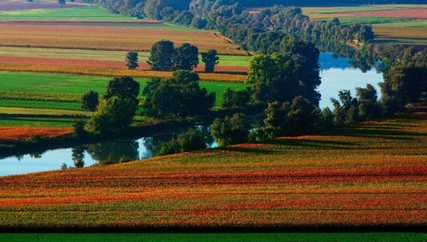 Обои деревья, река, природа, поле, берег реки, trees, river, nature, field, the river разрешение 1920x1080 Загрузить