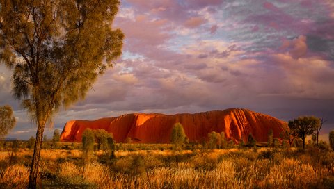 Обои деревья, скалы, австралия, улуру, северные территории, trees, rocks, australia, uluru, northern territory разрешение 2048x1365 Загрузить