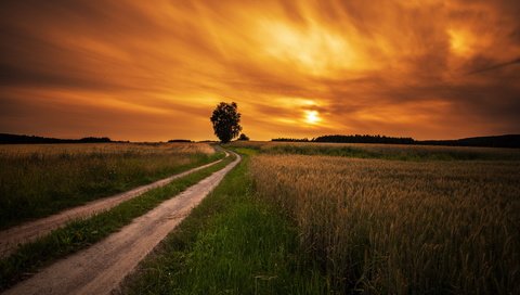 Обои дорога, закат, поле, road, sunset, field разрешение 2560x1745 Загрузить