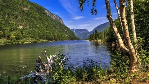 Обои трава, hautes-gorges-de-la-riviere-malbaie national, деревья, река, горы, камни, берег, лес, канада, grass, trees, river, mountains, stones, shore, forest, canada разрешение 2880x1933 Загрузить