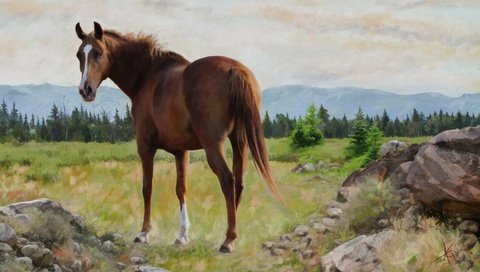 Обои лошадь, природа, картина, пейзаж, графика, конь, живопись, horse, nature, picture, landscape, graphics, painting разрешение 2880x1620 Загрузить