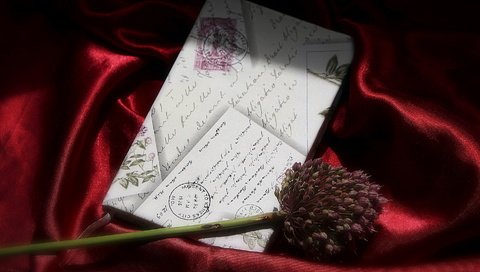 Обои фон, цветок, письмо, background, flower, letter разрешение 1920x1230 Загрузить