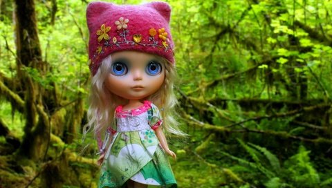 Обои лес, игрушка, кукла, волосы, шапка, шапочка, forest, toy, doll, hair, hat, cap разрешение 3500x2309 Загрузить