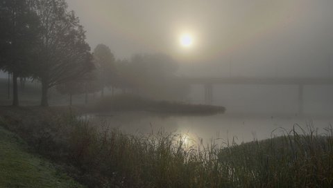 Обои трава, деревья, вода, пейзаж, туман, мост, дымка, grass, trees, water, landscape, fog, bridge, haze разрешение 2560x1600 Загрузить