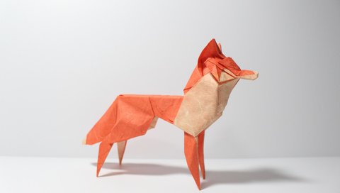 Обои бумага, лиса, оригами, paper, fox, origami разрешение 5184x3456 Загрузить