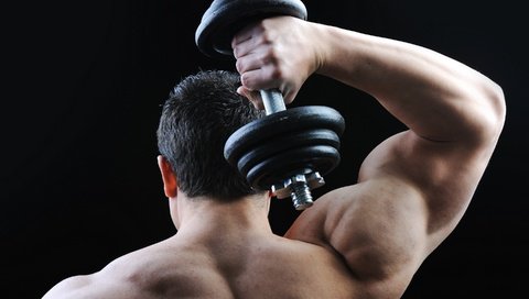 Обои спина, гантеля, плечи, мужчина, мускулы, сзади, мышцы, бодибилдер, гантели, бодибилдинг, bodybuilding, back, dumbbell, shoulders, male, muscles, muscle, bodybuilder, dumbbells разрешение 2880x2142 Загрузить