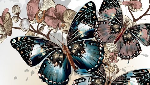 Обои цвета, фон, вектор, крылья, бабочки, окрас, color, background, vector, wings, butterfly разрешение 2880x2021 Загрузить