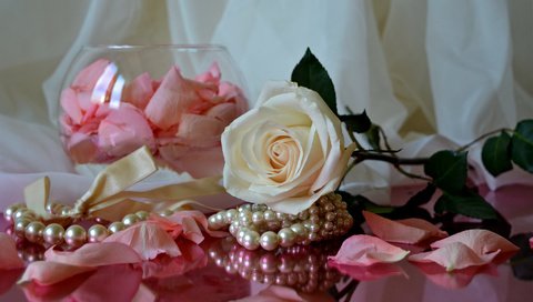 Обои роза, лепестки, ткань, ожерелье, rose, petals, fabric, necklace разрешение 1920x1233 Загрузить