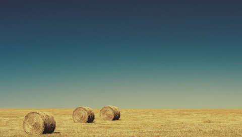 Обои небо, поле, горизонт, сено, тюки, рулоны, the sky, field, horizon, hay, bales, rolls разрешение 1920x1200 Загрузить