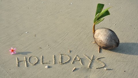 Обои песок, пляж, кокос, песка, тропическая, sand, beach, coconut, tropical разрешение 4288x2848 Загрузить