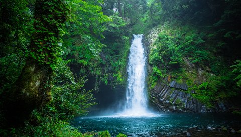 Обои природа, лес, водопад, япония, nature, forest, waterfall, japan разрешение 3840x2400 Загрузить