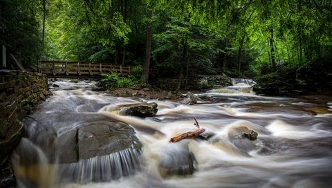 Обои деревья, ricketts glen state park, камни, лес, парк, ручей, мост, сша, течение, trees, stones, forest, park, stream, bridge, usa, for разрешение 2880x1672 Загрузить