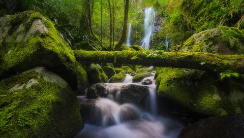 Обои река, бревно, природа, chalahn falls, elabana falls, камни, lamington national park, лес, ручей, водопад, мох, австралия, river, log, nature, stones, forest, stream, waterfall, moss, australia разрешение 1920x1200 Загрузить