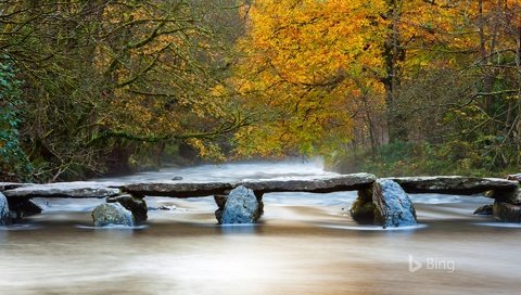 Обои река, природа, мостик, лес, осень, bing, river, nature, the bridge, forest, autumn разрешение 1920x1200 Загрузить