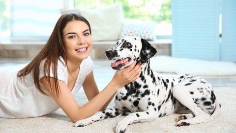 Обои девушка, улыбка, собака, далматин, cобака, dog-dalmatian-sobaka-dalmatin.jpg далматин, girl, smile, dog, dalmatian, dog-dalmatian-sobaka-dalmatin.jpg dalmatian разрешение 5648x3840 Загрузить
