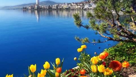 Обои цветы, озеро, швейцария, женевское озеро, монтрё, flowers, lake, switzerland, lake geneva, montreux разрешение 1920x1377 Загрузить