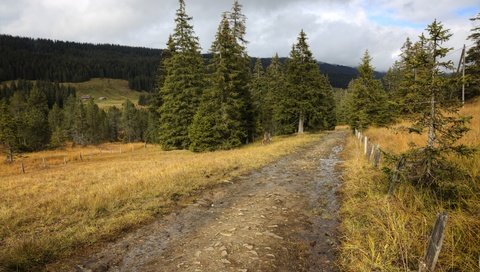 Обои небо, дорога, деревья, осень, забор, the sky, road, trees, autumn, the fence разрешение 5796x3870 Загрузить