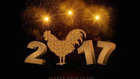 Обои новый год, птица, черный фон, символ года, 2017, new year, bird, black background, symbol of the year разрешение 2560x1600 Загрузить