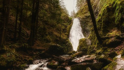 Обои деревья, камни, лес, ручей, водопад, сша, мох, орегон, trees, stones, forest, stream, waterfall, usa, moss, oregon разрешение 2201x1467 Загрузить