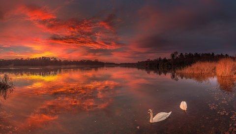 Обои озеро, закат, птицы, лебеди, lake, sunset, birds, swans разрешение 2048x1114 Загрузить